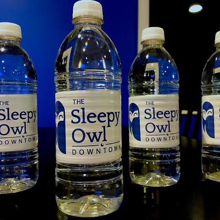 The Sleepy Owl Hotell Fort Frances Exteriör bild